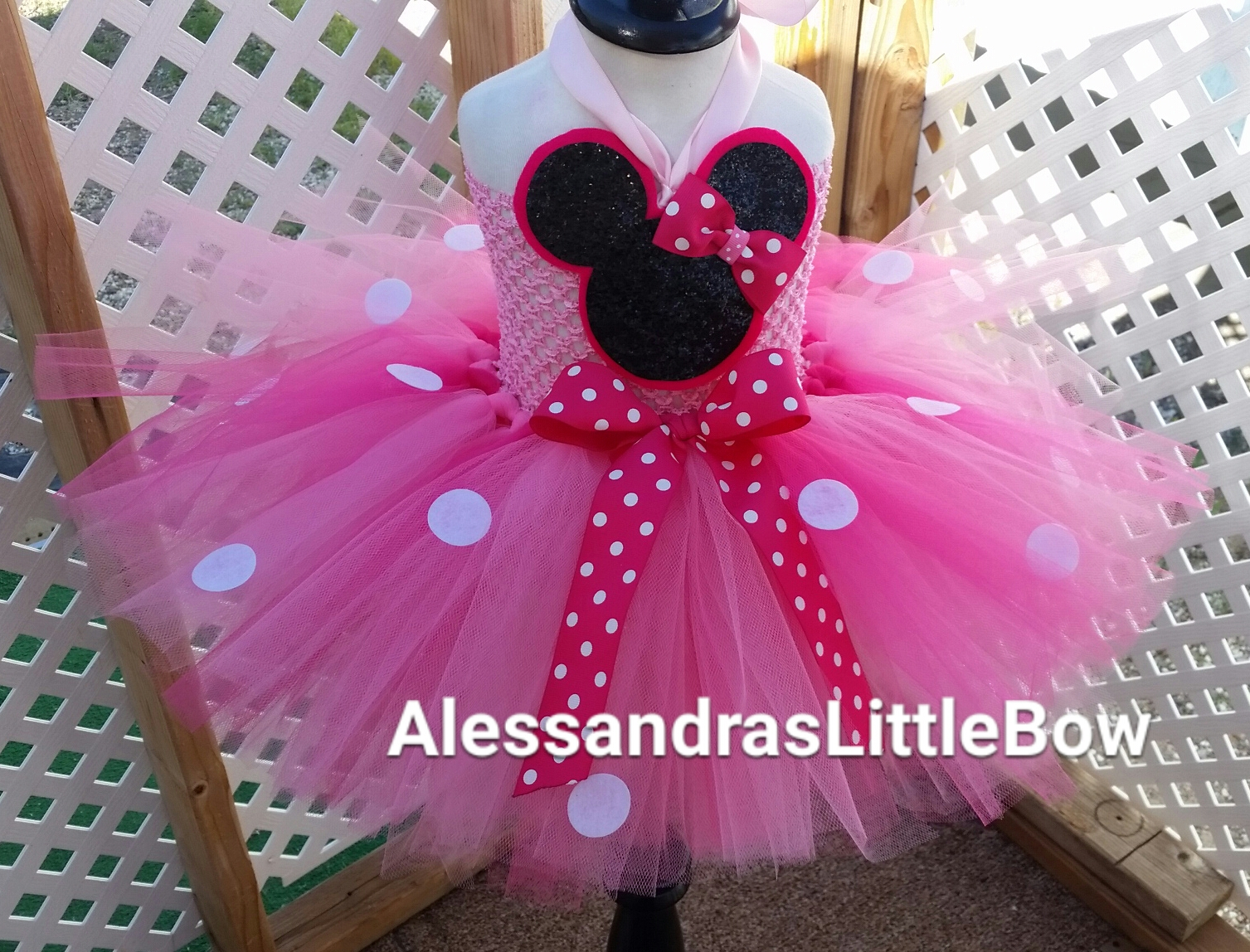 Character tutu dresses