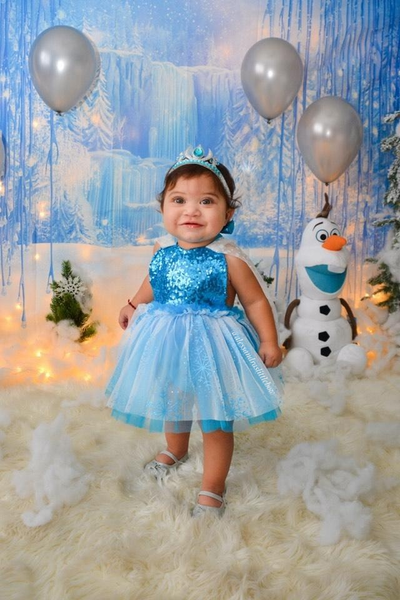 Winter wonderland / Frozen